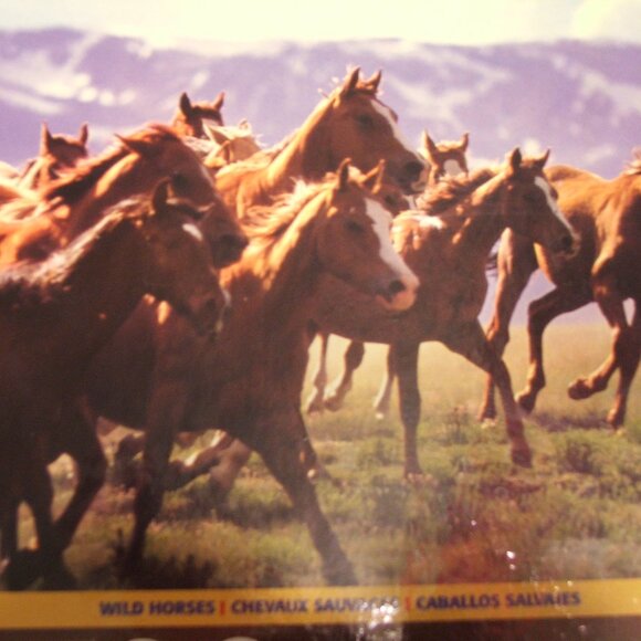 Sealed Sure-Lox Wildlife Wild Horses Jigsaw Puzzle 500 Piece (P65) - Picture 2 of 2